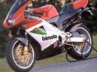 Bimota 500 V Due